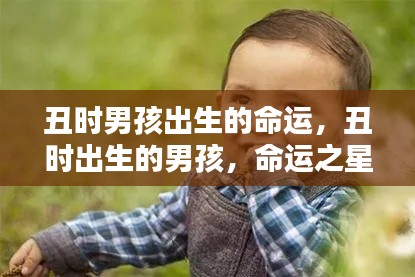 丑时出生的男孩命运之星熠熠生辉,解读命运之路的奥秘