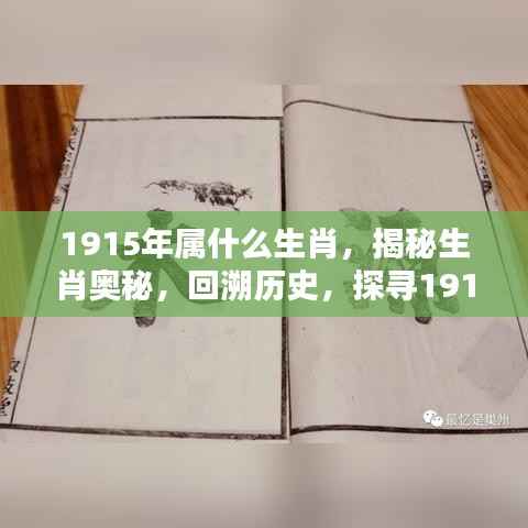 揭秘生肖奥秘,探寻1915年属相之谜,揭秘属相历史回溯