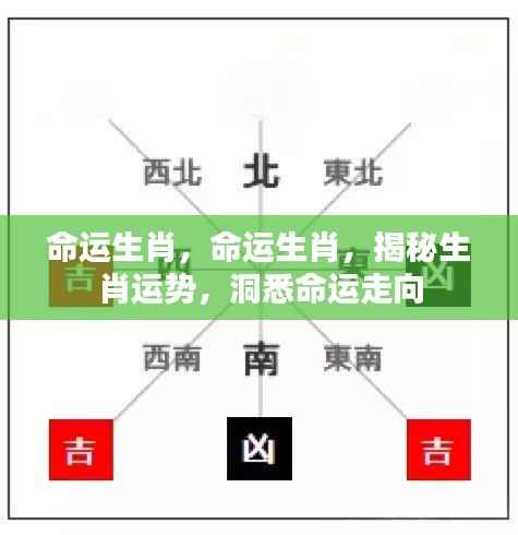 堂堂正正 第6页