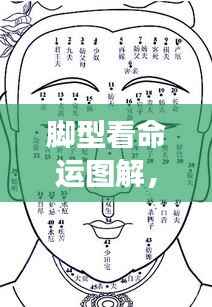 布衣蔬食 第5页