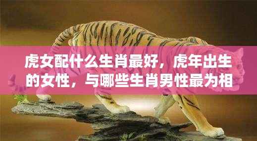 虎女最佳生肖配对，哪些生肖男性与虎年出生的女性最为相配？
