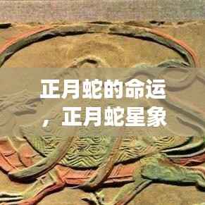 专心致志 第6页