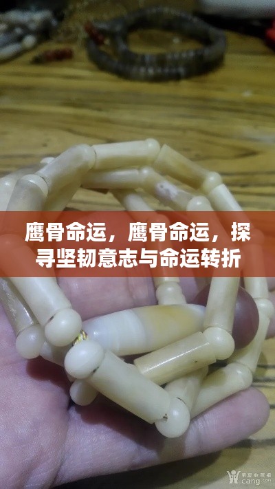 小鸟依人 第5页