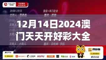 12月14日2024澳门天天开好彩大全开奖结果：梦想成真的时刻