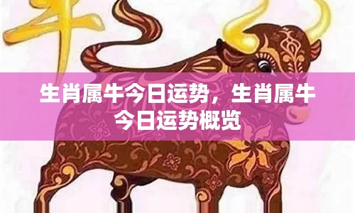 生肖属牛今日运势概览分析