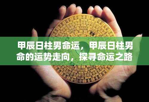 甲辰日柱男命，命运走向的独特轨迹探寻