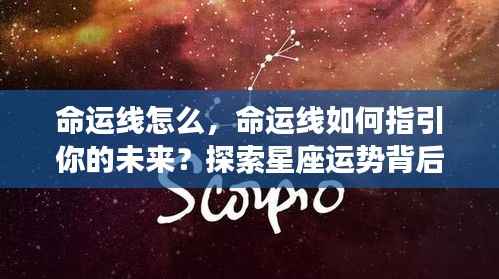 惊弓之鸟 第5页