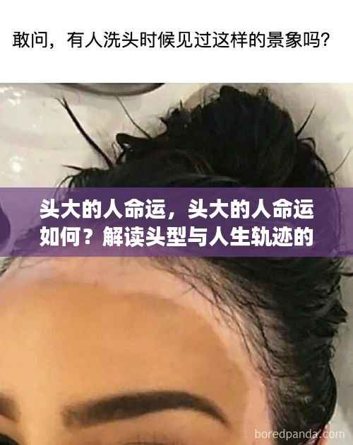 头大的人命运解析,头型与人生轨迹的微妙联系解读