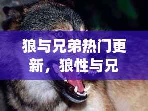 飞扬拨扈 第3页