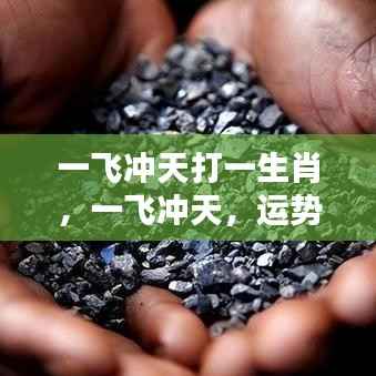 云屯鸟散 第4页