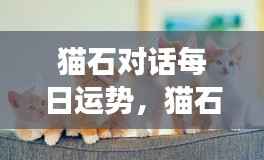 猫石对话每日运势，掌握星象，开启幸运之旅