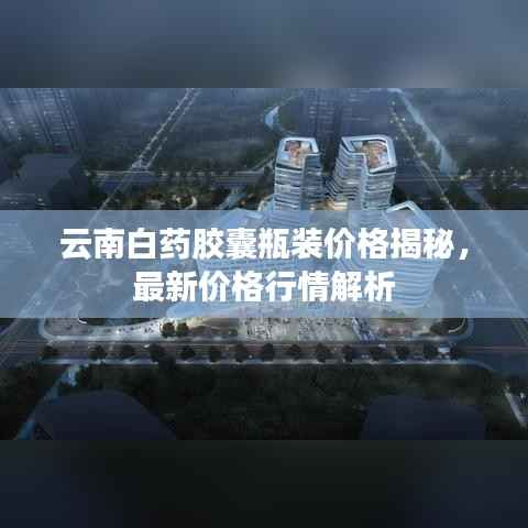 贵不可言 第4页