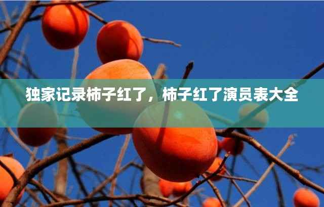 独家记录柿子红了,柿子红了演员表大全