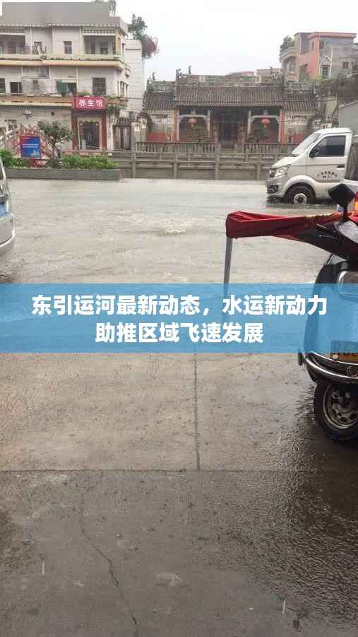 自作主张 第4页