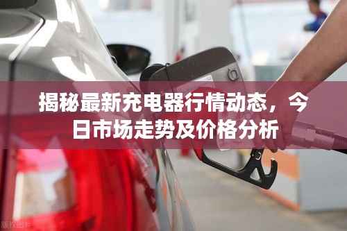 将错就错 第4页