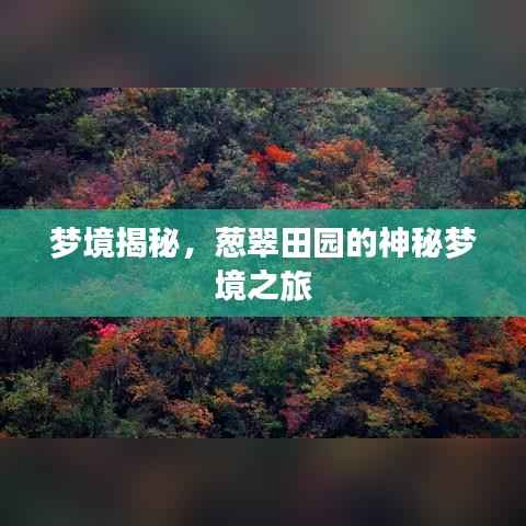 梦境揭秘,葱翠田园的神秘梦境之旅
