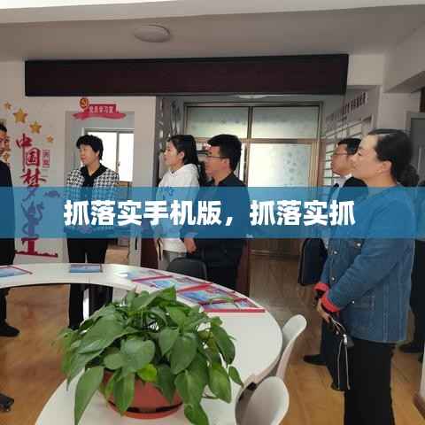 抓落实手机版，抓落实抓 