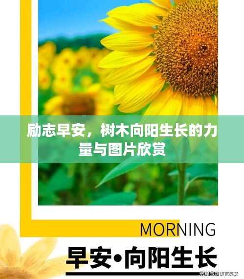 鸢飞鱼跃 第3页