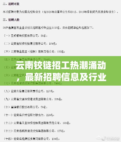 云南铰链招工热潮涌动，最新招聘信息及行业解读