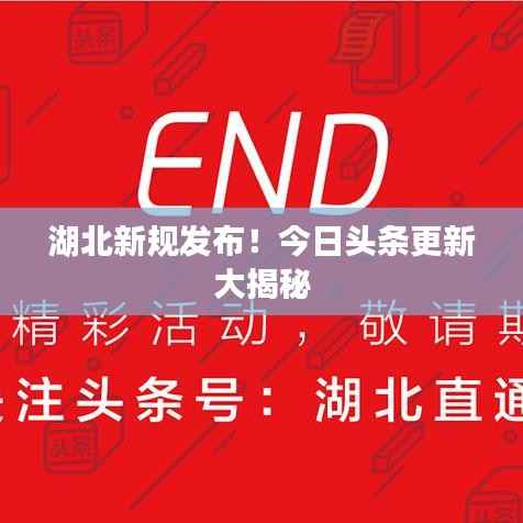 观往知来 第3页